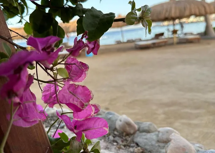 Private Pool Relaxing Apartman Gurdaka